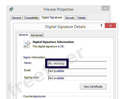Screenshot of the Ric Woshop certificate